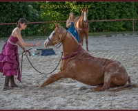 2-13JUIN 0631